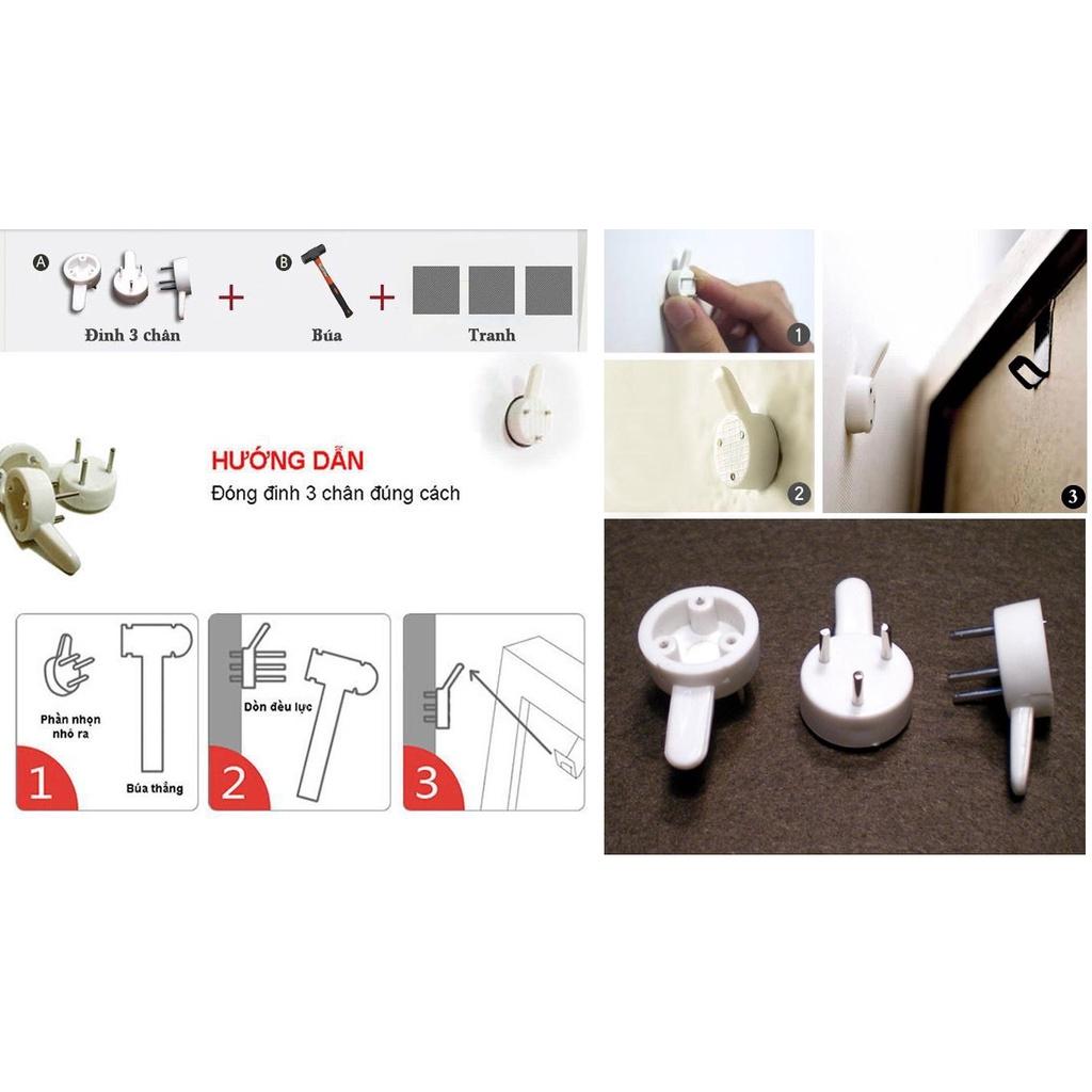 Tranh Canvas Hoa Mẫu Đơn Trắng - S6N2