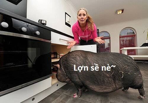 sự lụi tàn của usuzumi chapter 85 83