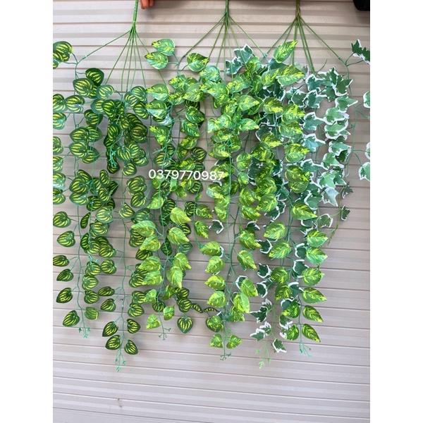 Dây Leo Trang Trí Dưa Hấu PVC 5.0