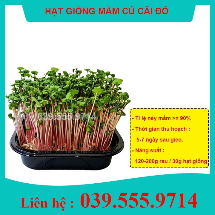 Hạt Giống Rau Mầm Củ Cải Đỏ - Giòn, Ngọt, Dinh Dưỡng, Thu Hoạch Nhanh 100gram