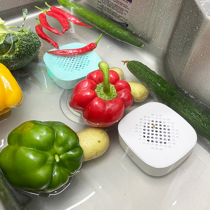 Máy Khử Độc Thực Phẩm, Ozone Portable - Home and Garden