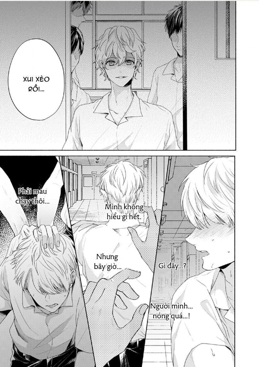 vết cắn tình đầu chapter 4 9