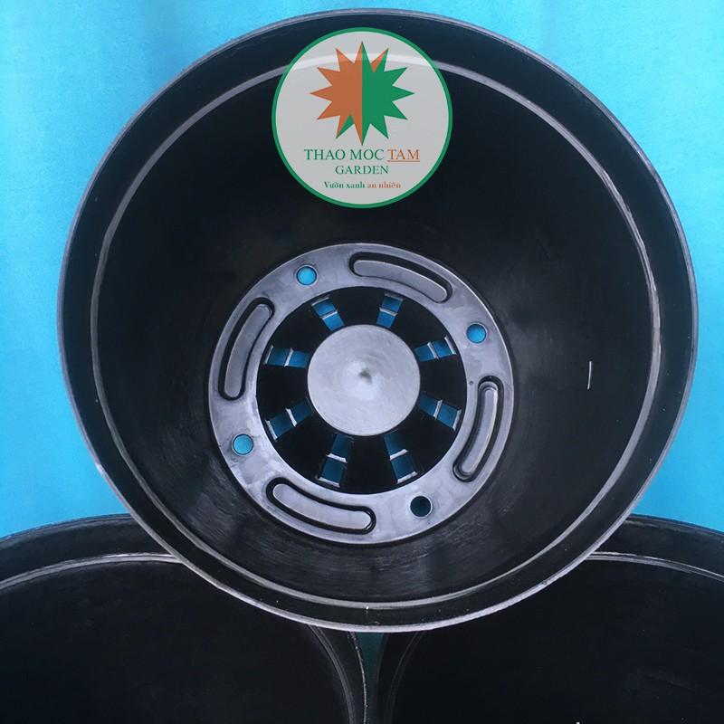 05c Chậu nhựa dày 24x22cm – Chậu nhựa cứng, dày, trồng hoa hồng, hoa chậu