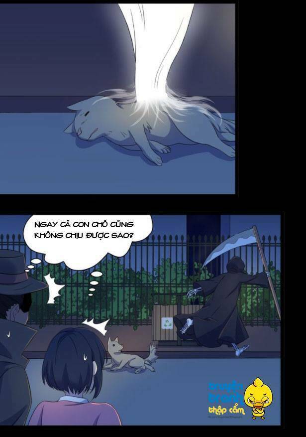 diêm vương sợ ma chapter 13.5 4