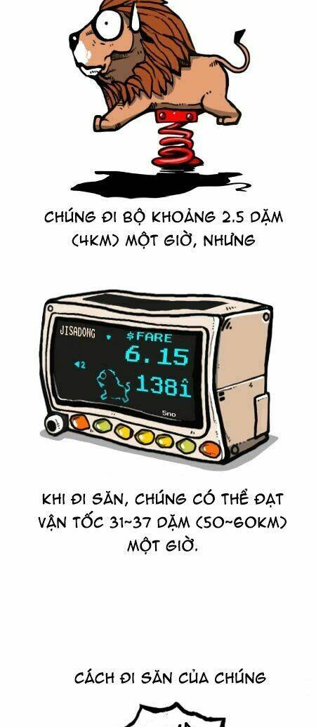 earth, human, and animal chapter 27 19