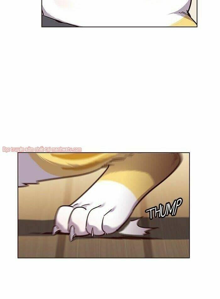 biến thân thành mèo chapter 51 21