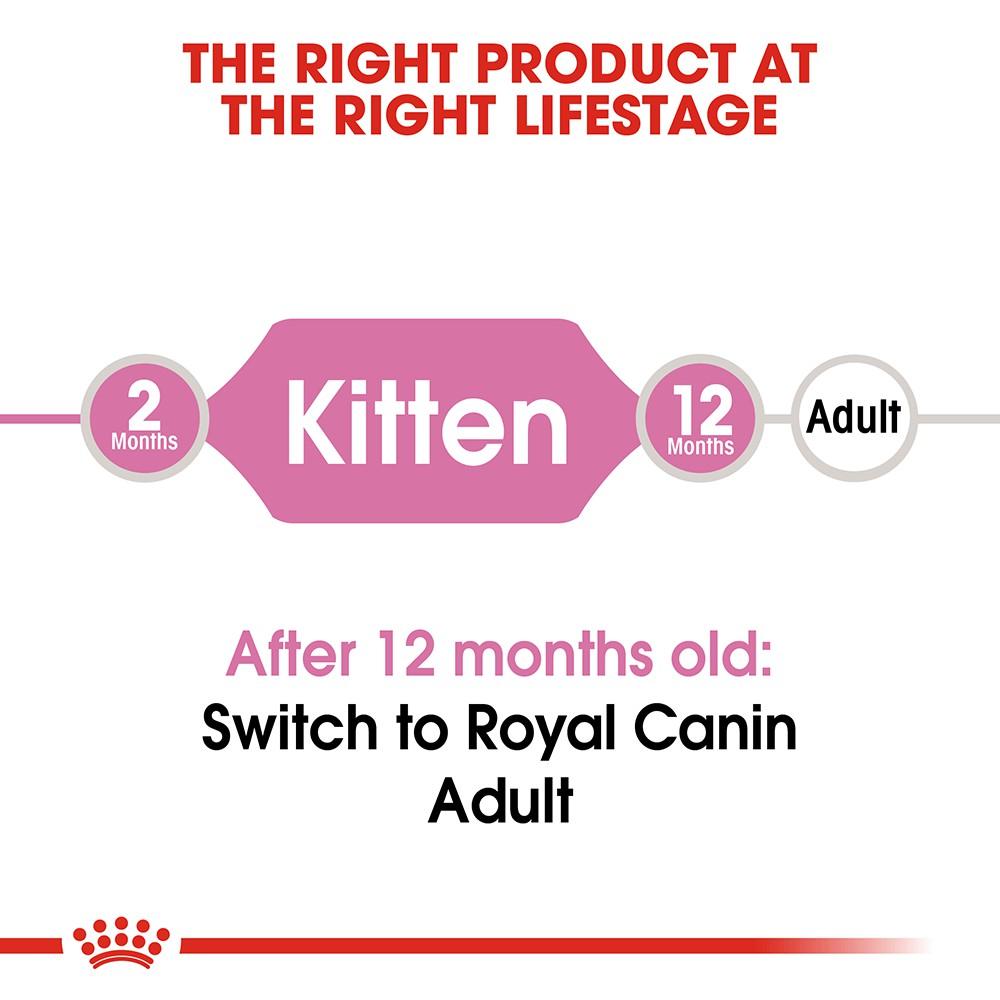 Hạt Royal Canin Kitten Cho Mèo Con