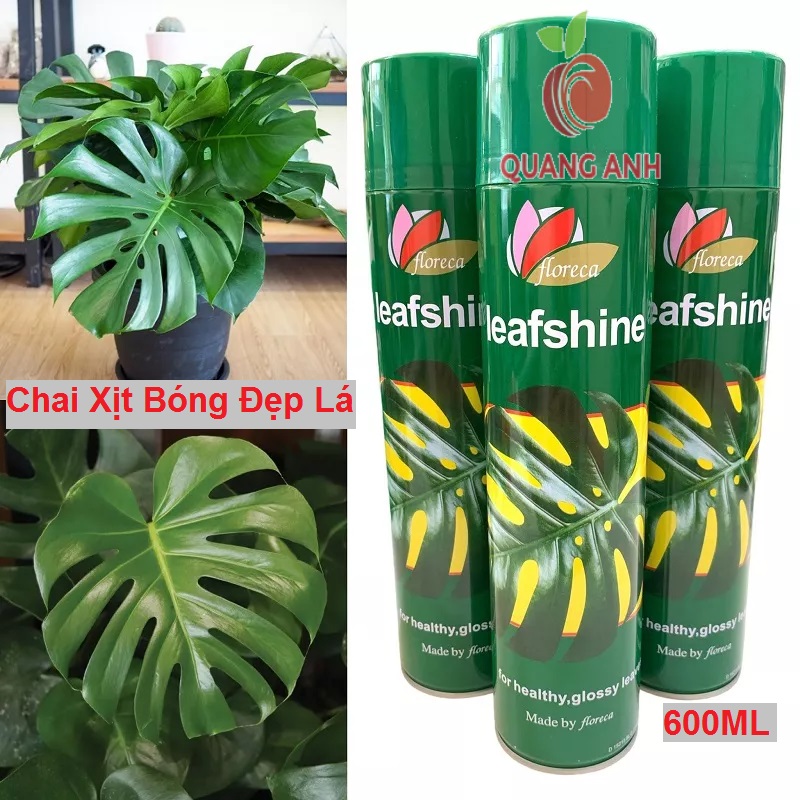 Chai Xịt Bóng Lá, Làm Đẹp Lá Cây Kiểng, Giữ Ẩm Cho Lá Leafshine - Chai 600ml
