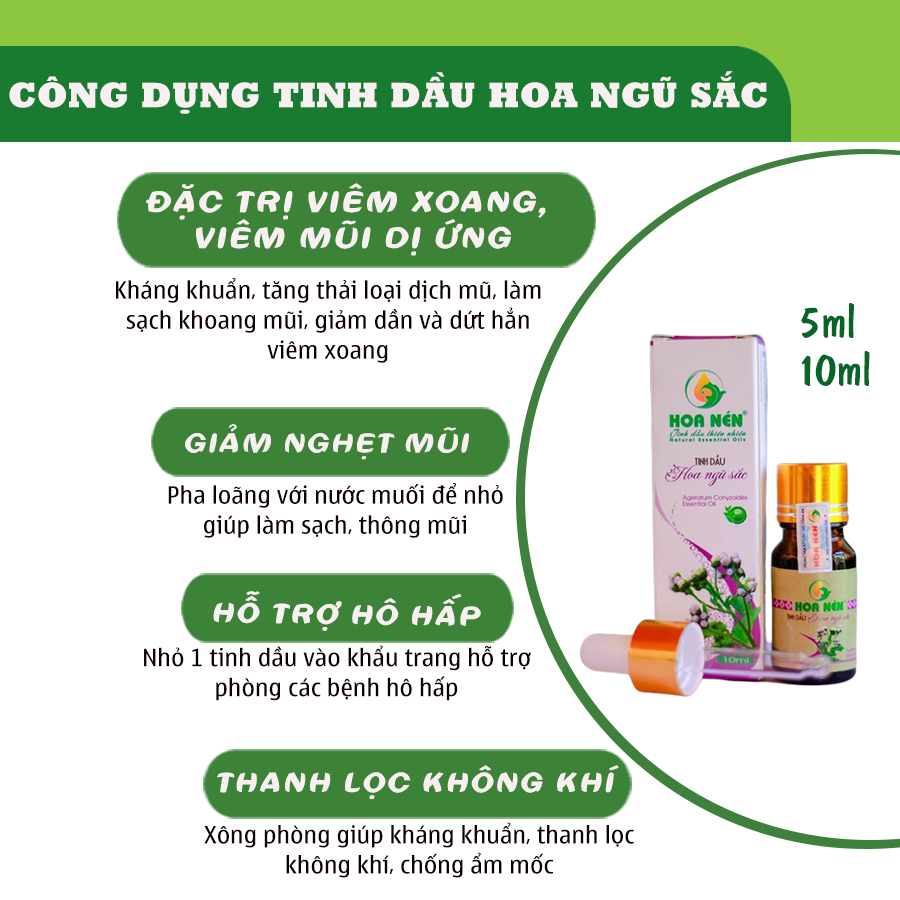 Tinh dầu hoa Ngũ sắc (cỏ hôi) nguyên chất Hoa Nén 5ml - 10ml - Đặc trị viêm xoang, viêm mũi dị ứng