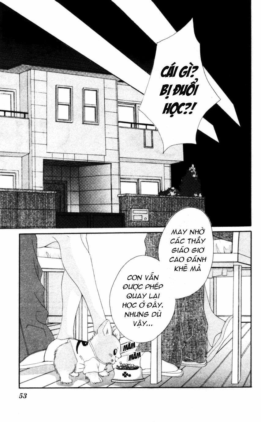 i love my little sister chapter 43 19