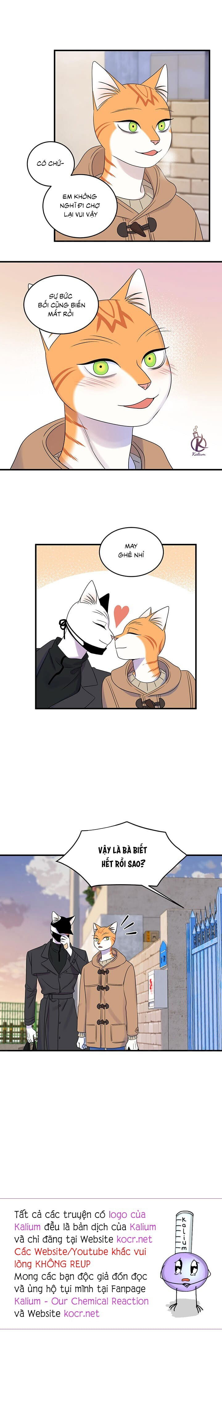 dự án xanh chapter 53 14