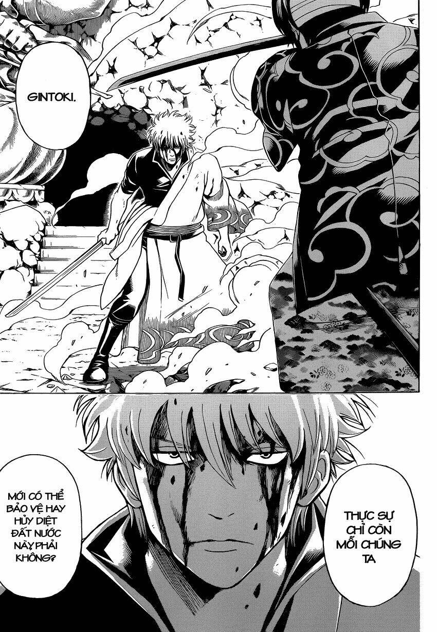 gintama - linh hồn bạc chapter 514 11