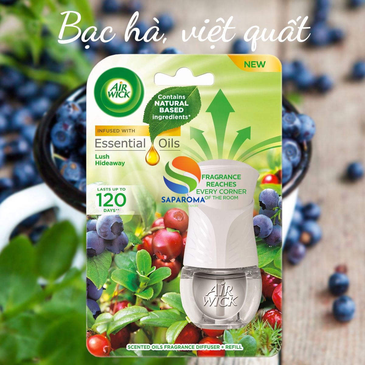 Bộ tinh dầu thơm phòng Air Wick 19ml, nhập khẩu Châu Âu
