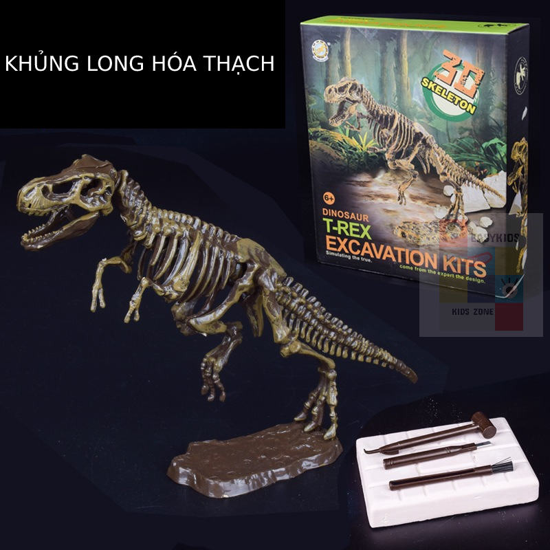 Mô hình Khủng Long hóa thạch - truy tìm dấu vết hóa thạch