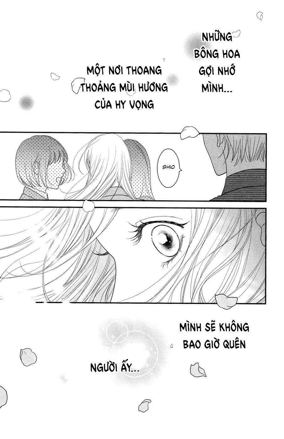 đóa hoa năm ấy chapter 4 58