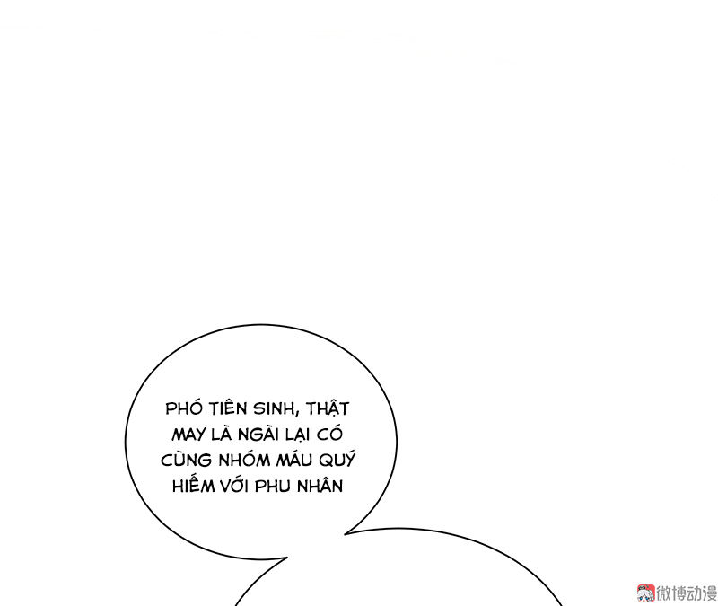 tổng tài truy thê: phu nhân lại chạy trốn chapter 7 58