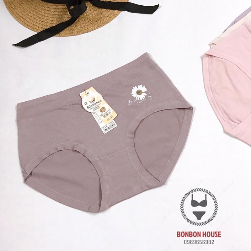 Quần Lót Lưng Cao Cotton Đẹp