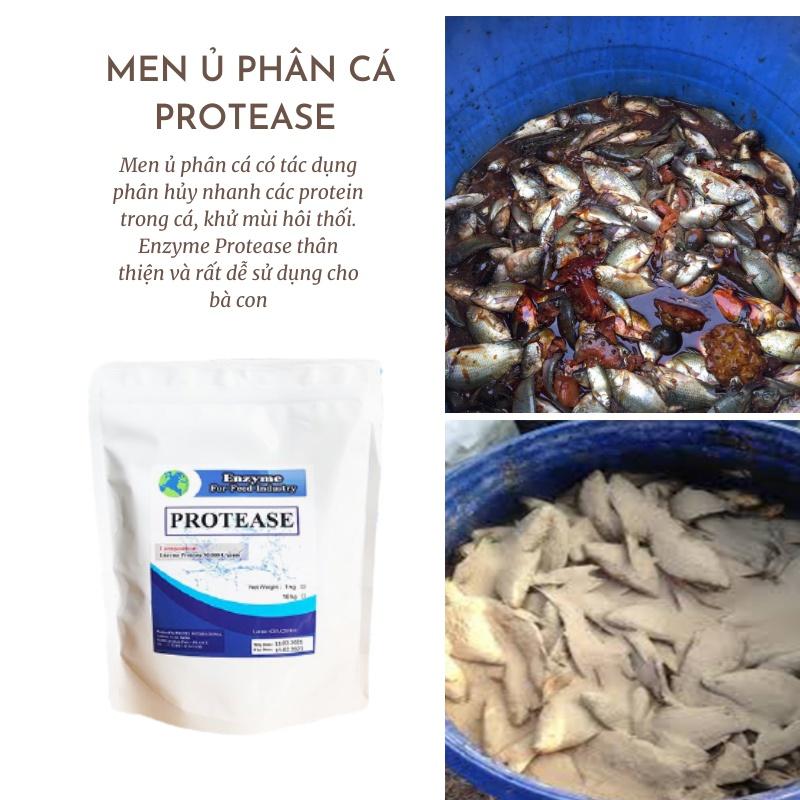 Men ủ phân cá Protease (Men xử lý mùi hôi ủ cá)