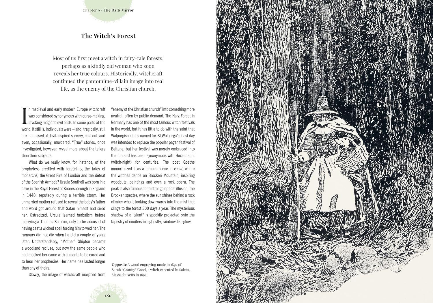 Kew - Witch's Forest