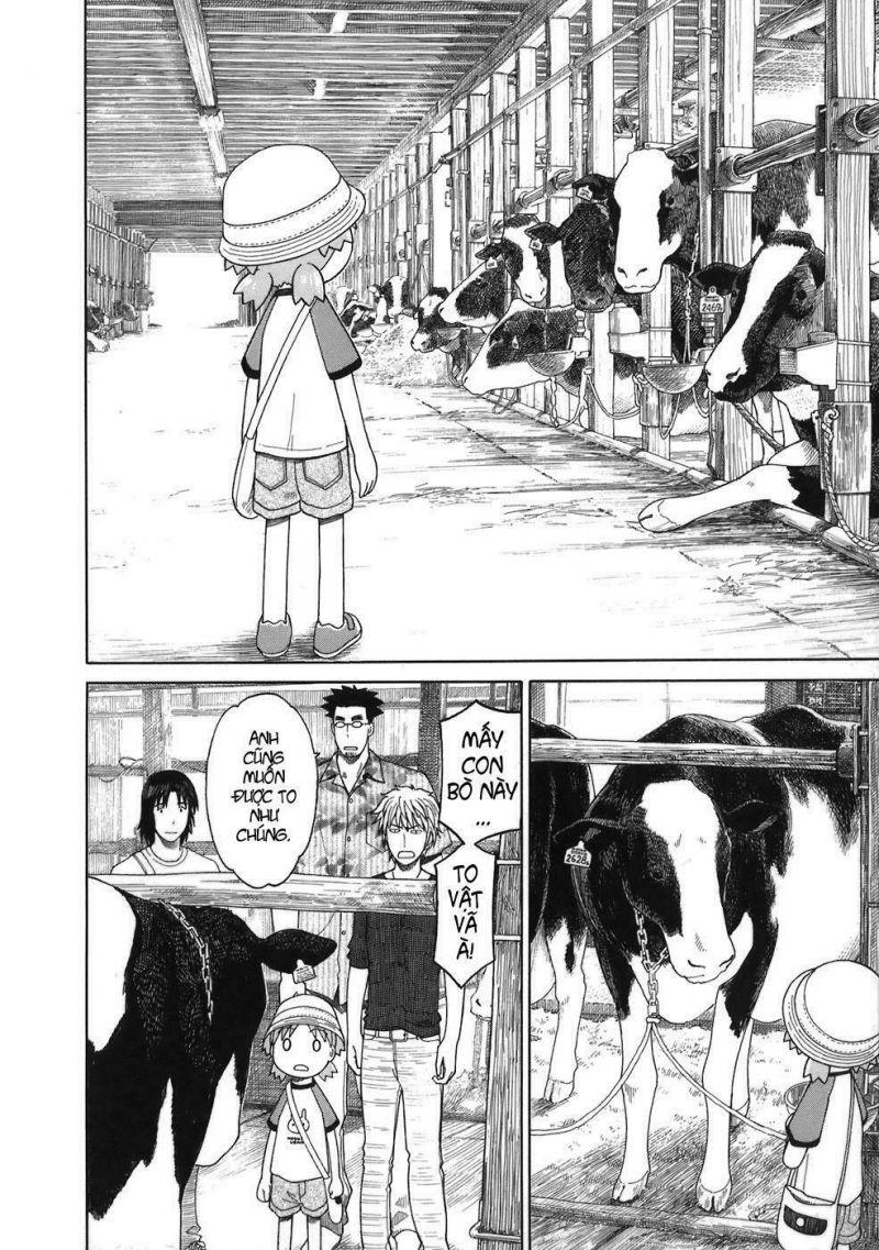 yotsubato! chapter 48 19