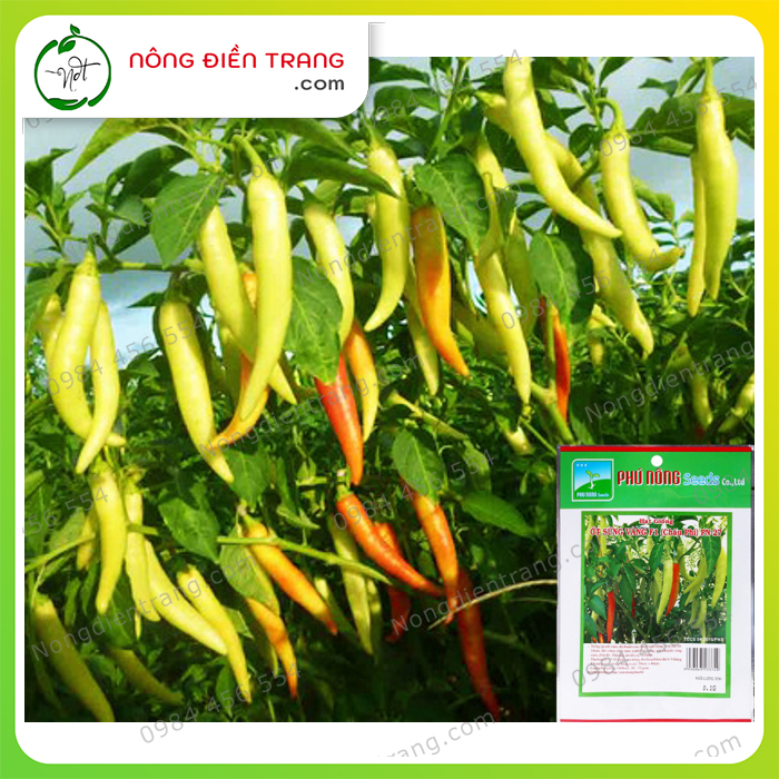 Hạt Giống Ớt Sừng Phú Nông - Gói 0.1g - Ớt Sừng Vàng Châu Phi Dễ Trồng, Sai Trái, Sinh Trưởng Mạnh, Kháng Bệnh Tốt VTNN Nông Điền Trang