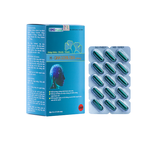 Viên uống hỗ trợ thần kinh H – Ginkgobiloba 240 MG