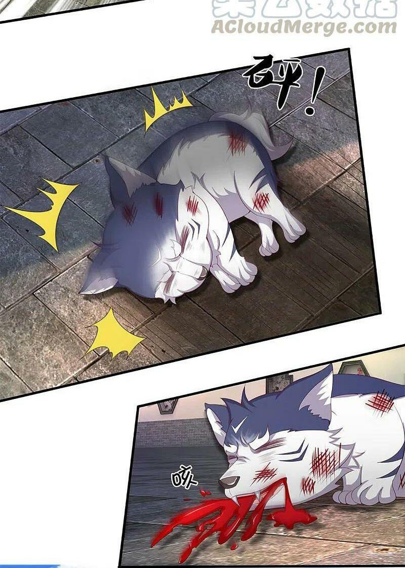 vú em tiên tôn đi ở rể chapter 217 8