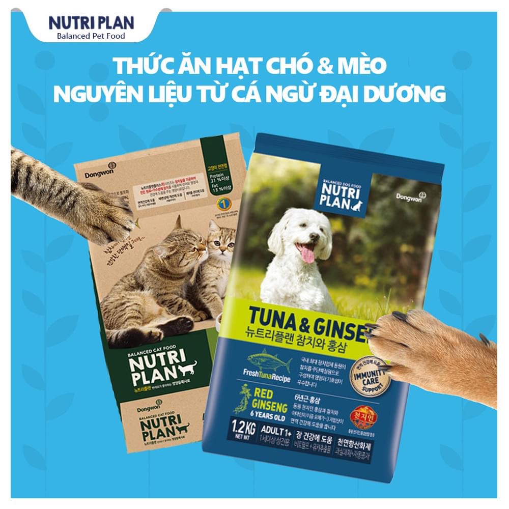 Thức ăn hạt cho mèo mọi lứa tuổi Nutri Plan Cat All Stage Plus 5Kg