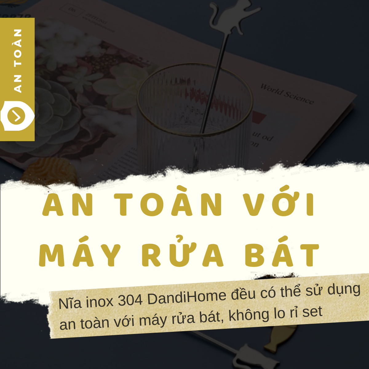 Pack 6 nĩa/dĩa ăn trái cây, hoa quả, bánh kem inox 304 DandiHome hoạt hình dễ thương hình chú mèo