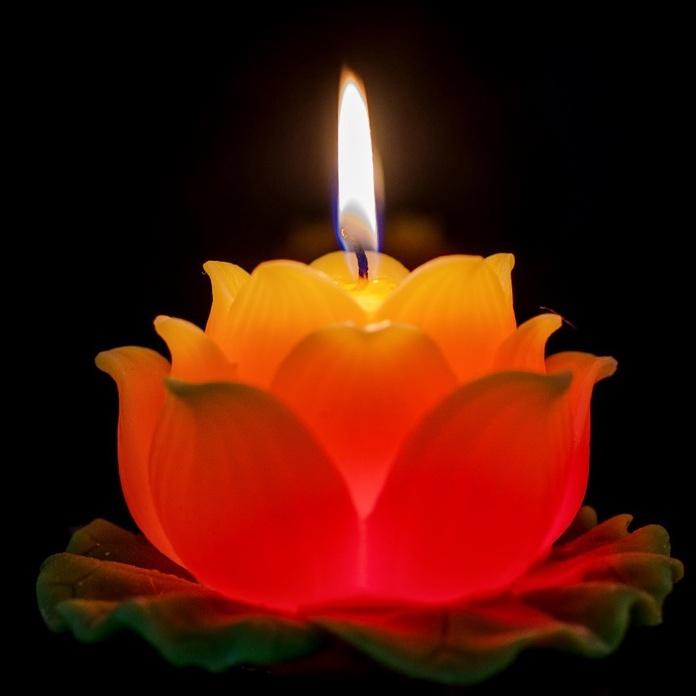 Nến hoa sen - có đèn led đổi màu - nến bông sen thờ phật trang trí cao cấp candle shop