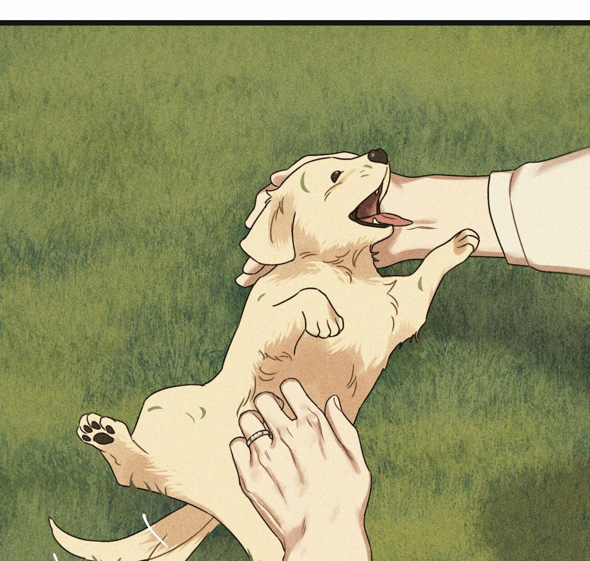 tương phùng chapter 24 191