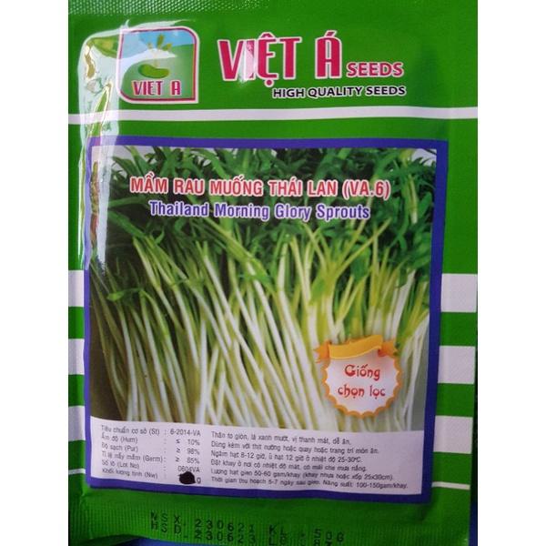 Hạt giống rau mầm 50g