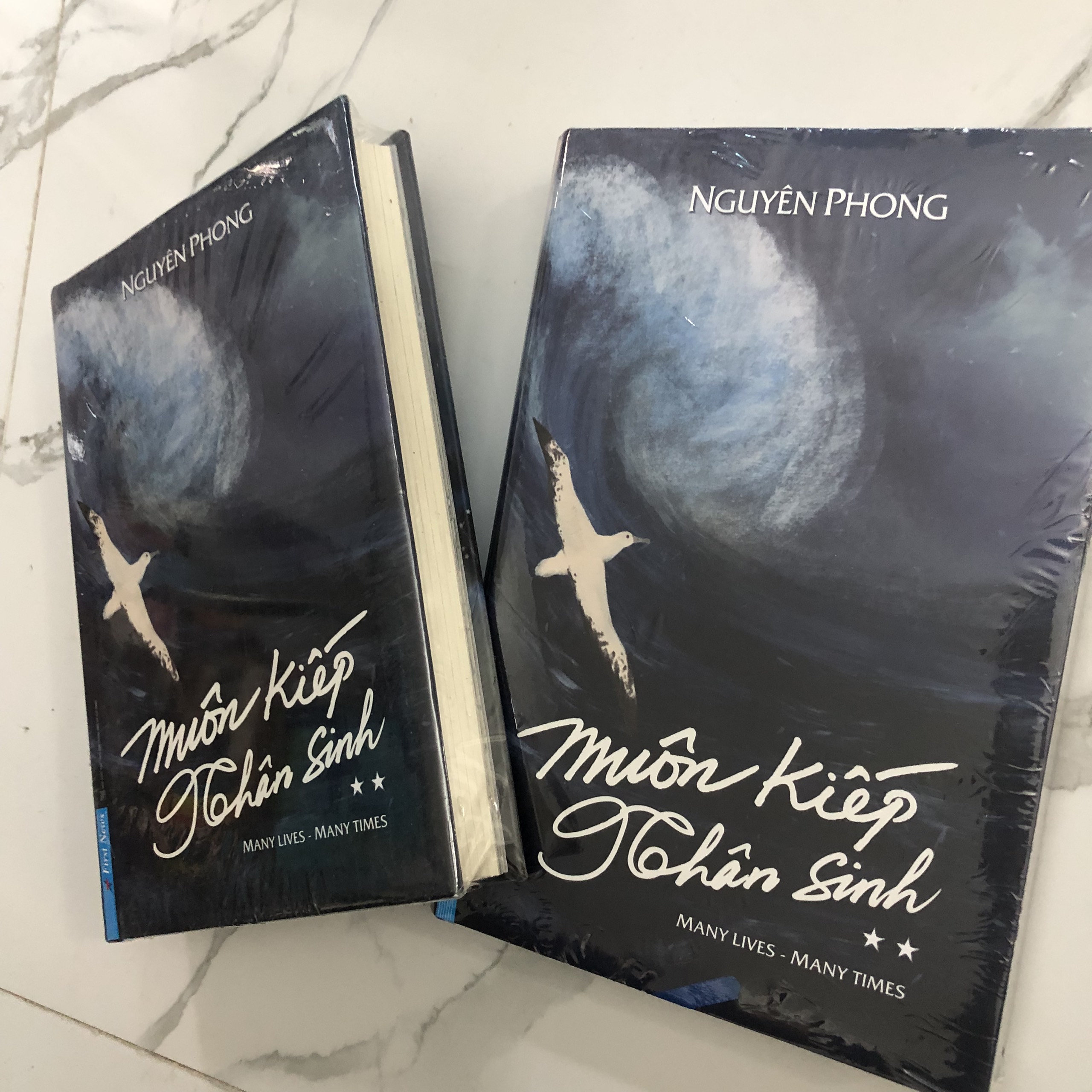 Muôn Kiếp Nhân Sinh 2 - Nguyên Phong