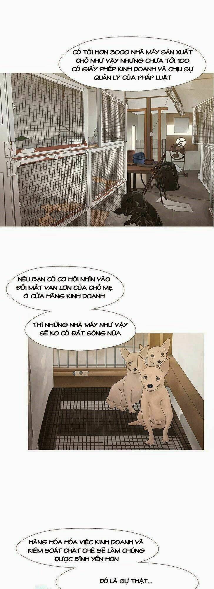 trái tim của một người bạn chapter 16 21