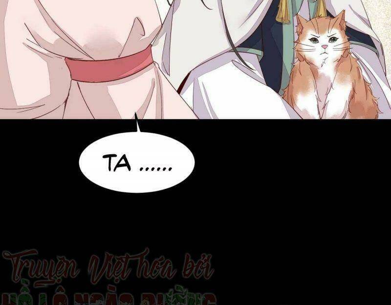 sát thủ vương phi không dễ chọc chapter 45 51