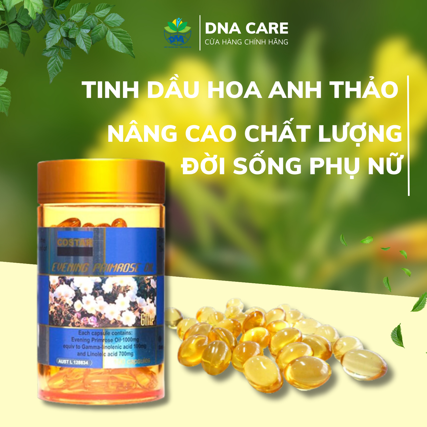 Viên uống nội tiết tố hoa anh thảo Costar Evening Primrose Oil hộp 100 viên