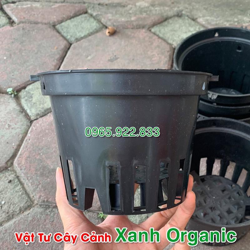 Chậu nhựa trồng lan màu đen Phi 16cm