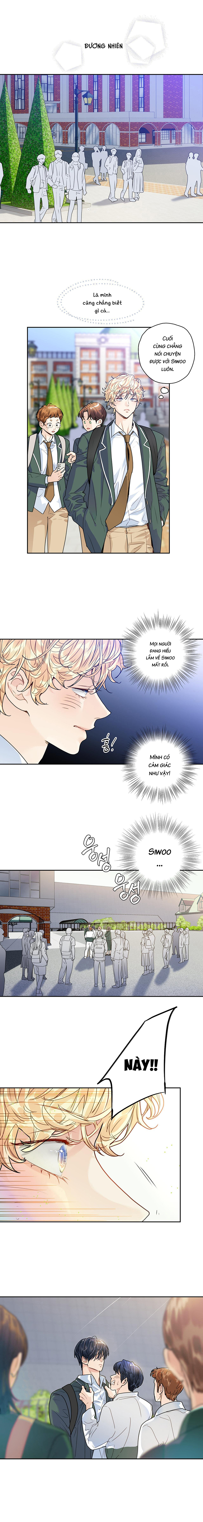 tình yêu là ảo ảnh chapter 8 11