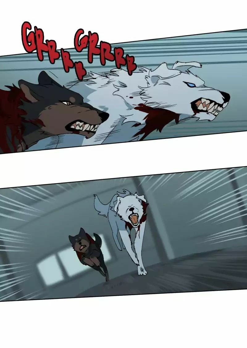 lumine - cội nguồn ánh sáng chapter 28 14