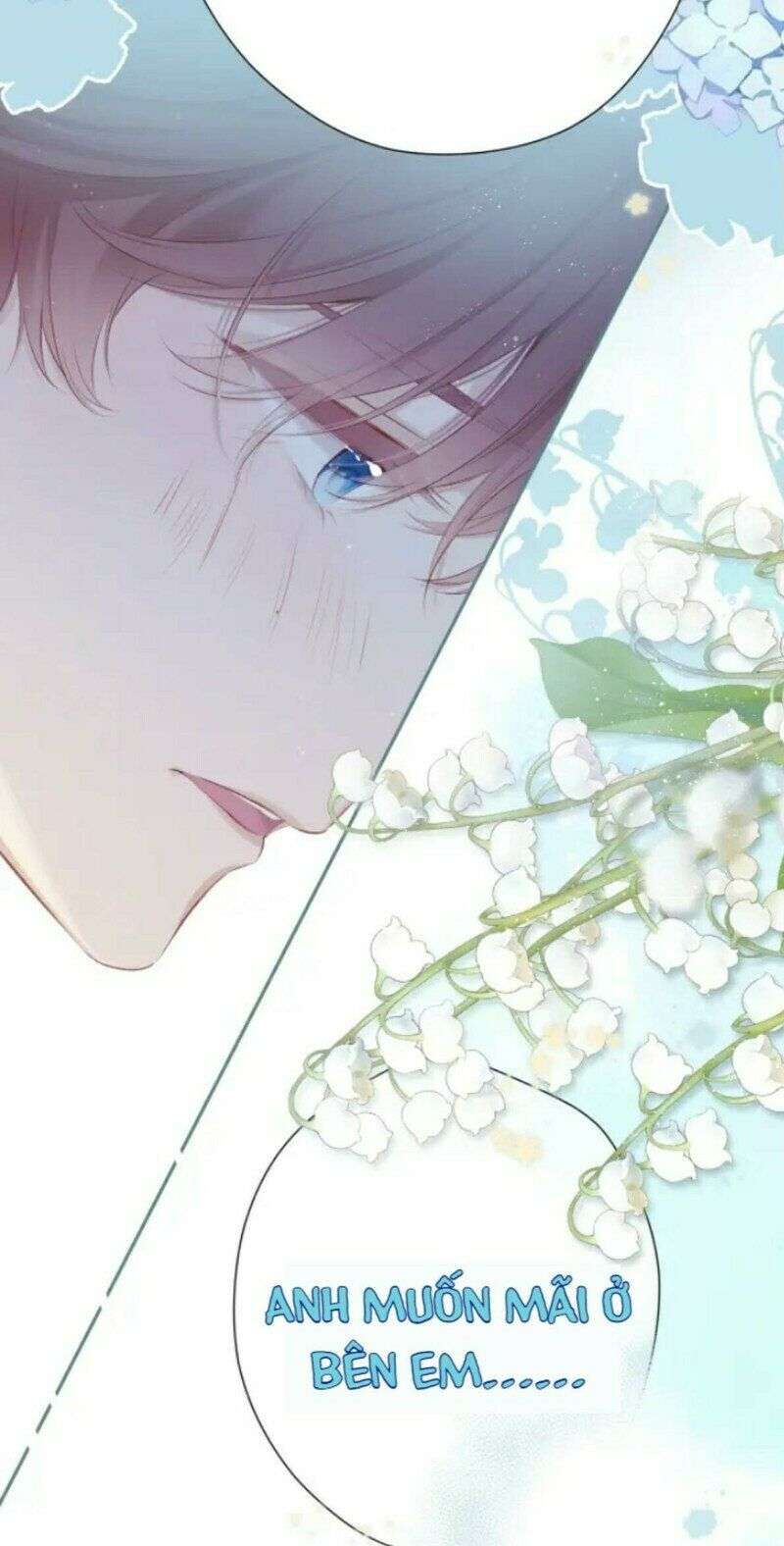 bảo vệ siêu sao của tôi chapter 132 15