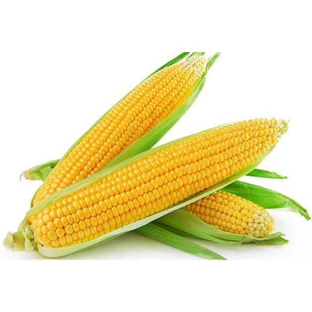 Hạt giống ngô ngọt gói 5g
