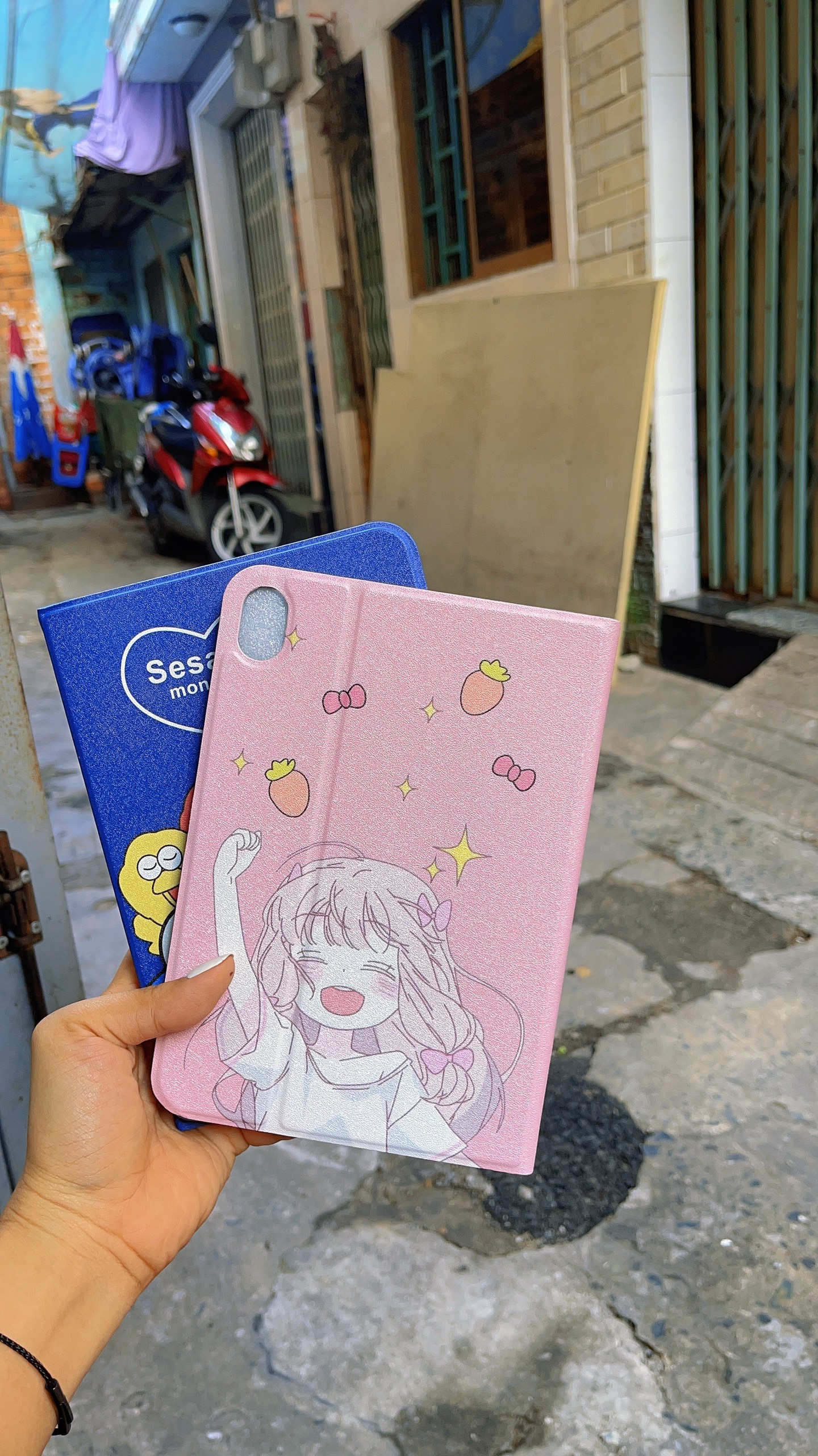 Bao da dành cho ipad mini 6 hình