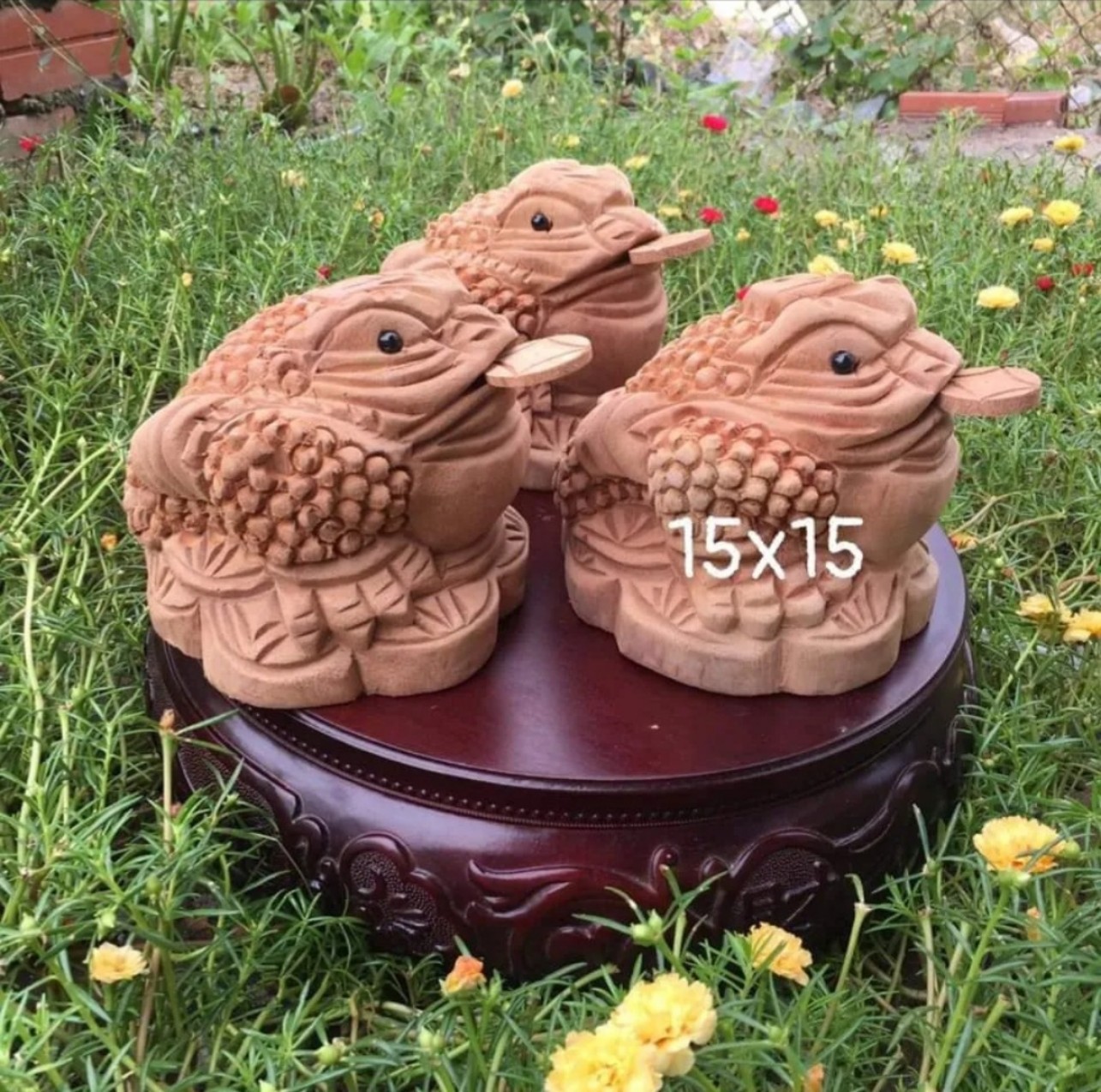 Tượng cóc ngậm tiền gỗ xá xị kích thước 10 cm