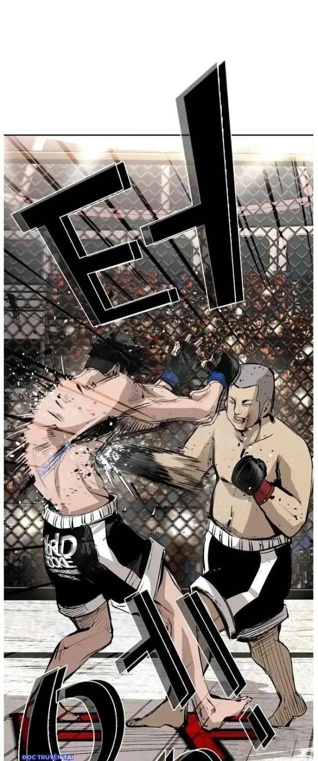 shark - cá mập chapter 146 21