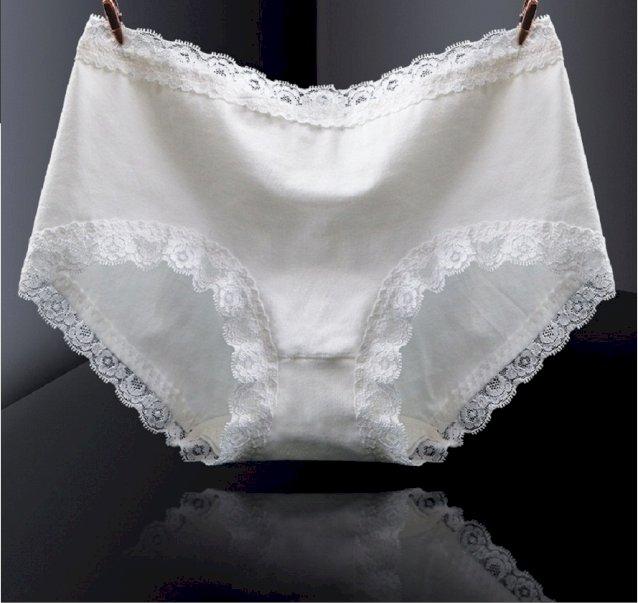 SET05 quần lót cotton pha 3 viền ren
