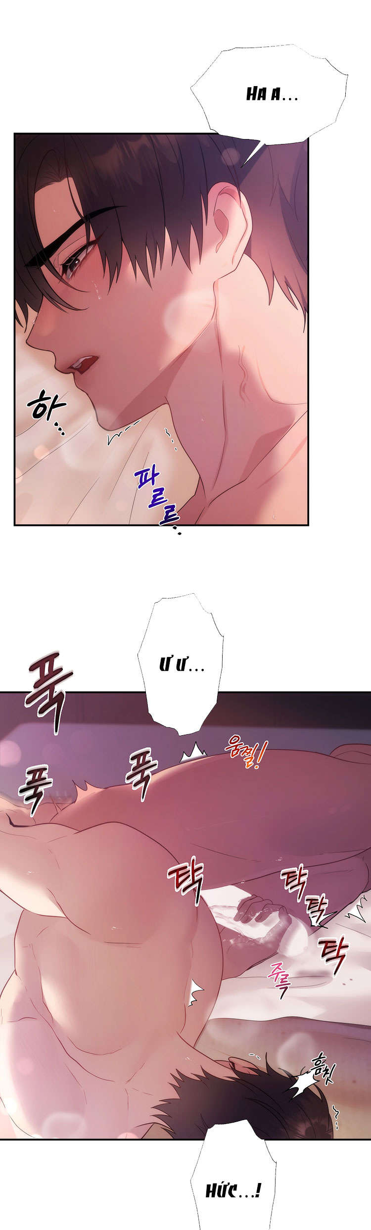 Nhà Tài Trợ Của Hắn chapter 6 - Trang 3