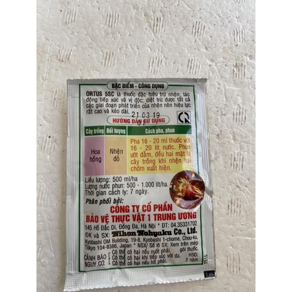 Nhện đỏ hoa hồng