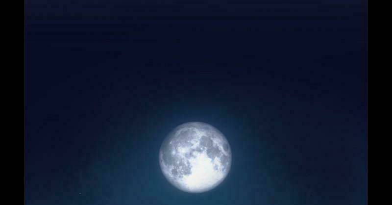 khúc hát người cá siren chapter 2 27