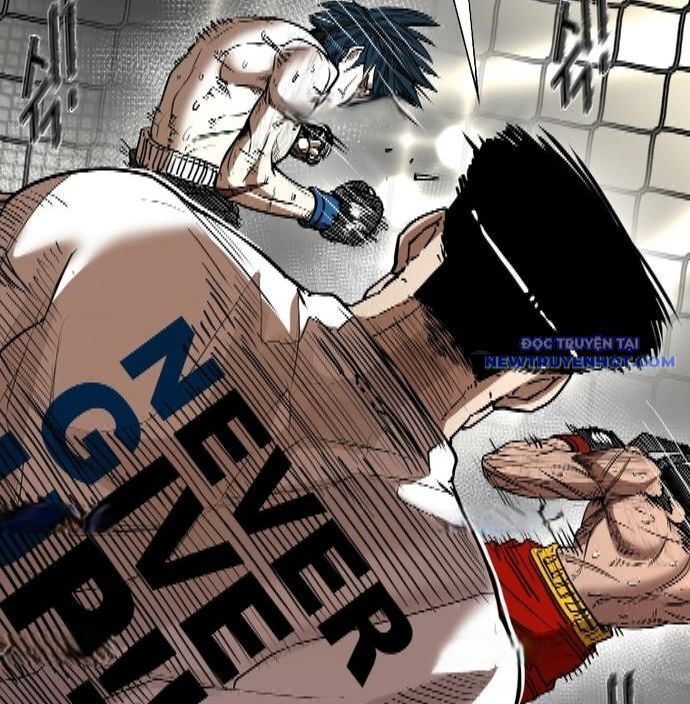 shark - cá mập chapter 339 77