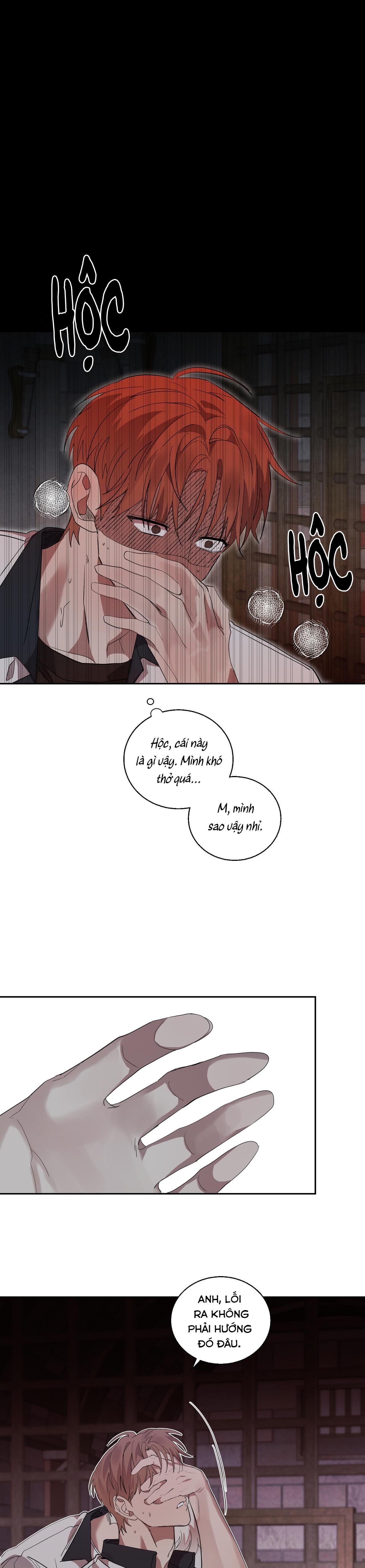 nuốt chửng bóng đêm chapter 20 17